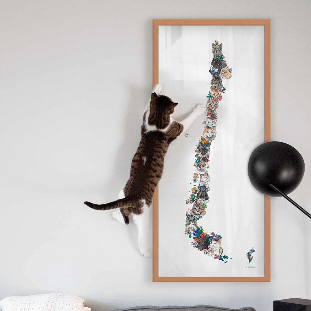 Lámina Decorativa Mapa de Gatos