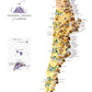 Lámina Decorativa Mapa de Montañas Volcanes y Cordilleras de Chile