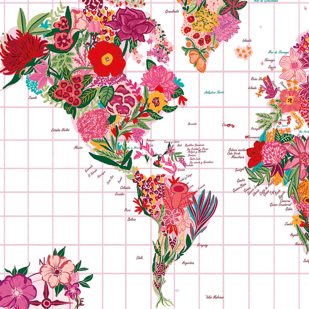 Lámina Decorativa Mapa Mundi de Flores