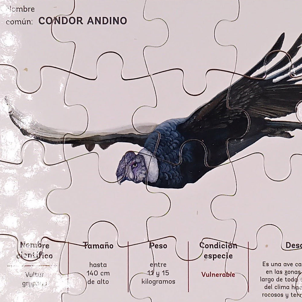 Puzzle 20 piezas Descriptivo Aves Chilenas