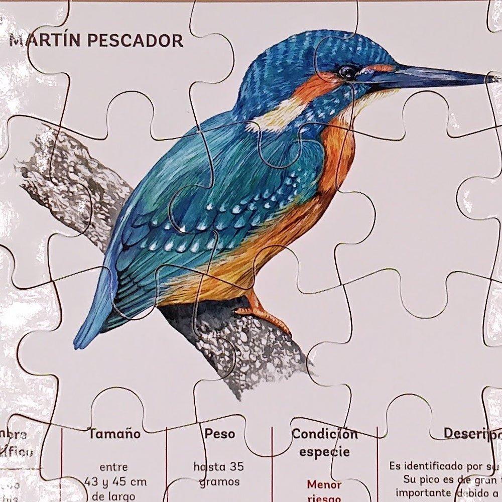 Puzzle 20 piezas Descriptivo Aves Chilenas